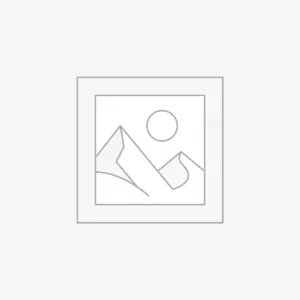 trottinette électrique